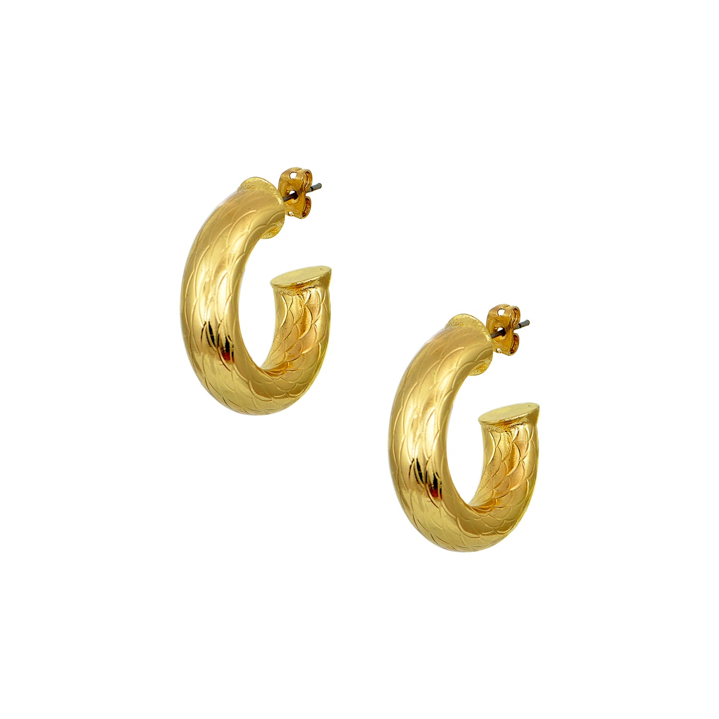 Embossed Gold Steel Hoops